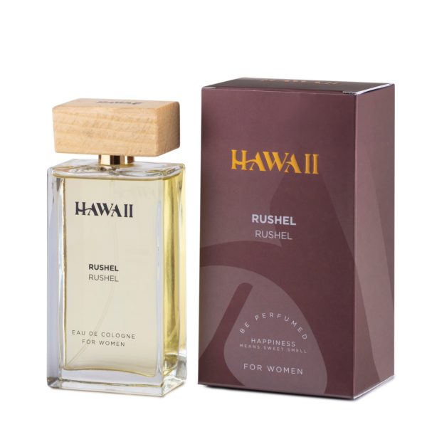 Untitled1126_20241106144820